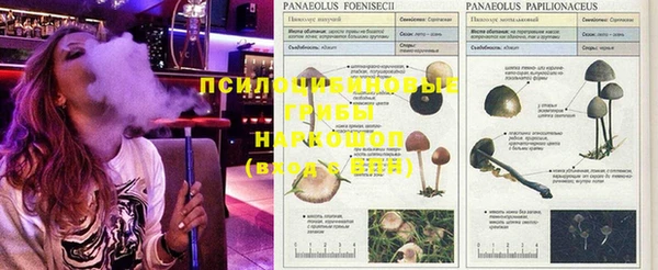 кокаин премиум Верея