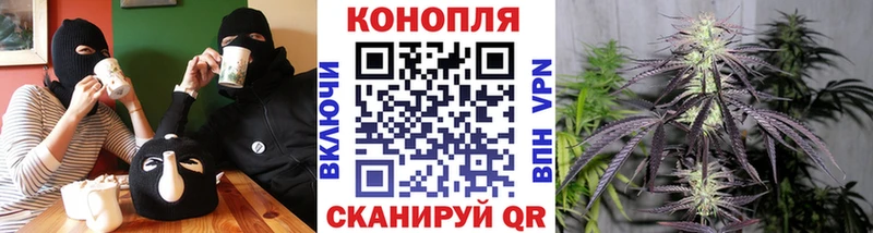 Каннабис индика  Павловск 